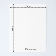Bibuła ozdobna Niebarwiąca MG w arkuszach 75x100cm - biały 250szt. - obrazek 6